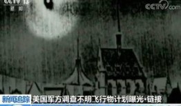 外国爆料外星人视频下载,外国爆料视频下载背后的神秘真相