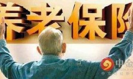 老王爆料小智视频大全集,小智视频大全集背后的精彩故事