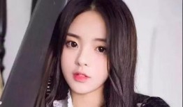 网妹在线观看,揭秘网络直播的魅力与挑战