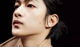 屈楚萧被爆料绯闻视频播放,屈楚萧绯闻视频播放引发热议