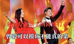 宝石老舅爆料曾毅视频,曾毅视频背后的惊人真相