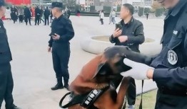 警犬巴打手机在线观看,忠诚守护，手机在线见证