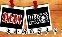 民间热门新闻爆料网,民间热门新闻爆料网背后的真相
