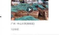 广东学校爆料视频曝光,揭秘校园内幕