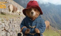 熊电影在线观看