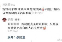 吃瓜群众沈某某小说免费阅读,揭秘小说世界中的免费阅读之旅