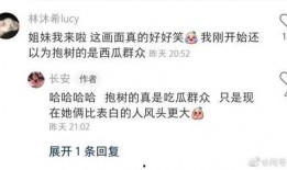 吃瓜群众沈某某小说免费阅读,揭秘小说世界中的免费阅读之旅