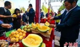 免费吃瓜部落,揭秘网络社交新潮流