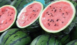 苏州网红吃瓜事件,一场网络舆论的风暴与反思