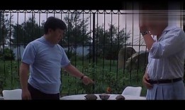 吃瓜看剧一见钟情免费阅读,吃瓜看剧中的甜蜜邂逅