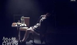 包小姐的包在线观看,揭秘时尚界的神秘魅力