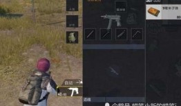 svd升级皮肤最新爆料,揭秘最新爆料，全新视觉盛宴即将来袭！
