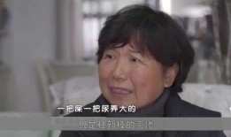 江南舅舅爆料视频大全,揭秘家族往事与幕后真相