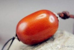 爆料密蜡内幕的视频,内幕视频曝光惊人真相