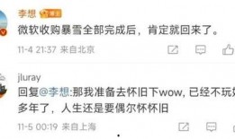 职业选手爆料国服视频,国服高玩操作背后的秘密与技巧