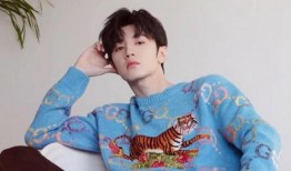 娱乐大爆料陈哲远,娱乐大爆料背后的明星魅力揭秘