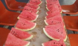 网红吃瓜和大咖,揭秘娱乐圈幕后真相