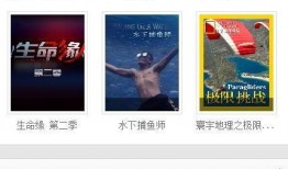 511在线视频观看