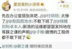 娱乐圈事件爆料,揭秘明星背后的惊人真相