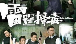 雷霆扫毒手机在线观看,在线揭秘毒品背后的惊心动魄