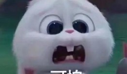 网红炸裂吃瓜事件真相,真相背后的惊人内幕