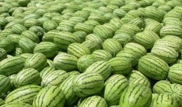 吃娱乐圈瓜应该去哪里