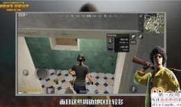 关于爆料照的视频素材,视频素材背后的真相与争议