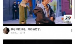 扒叔大爆料蓝色大海视频,扒叔大爆料背后的惊人真相