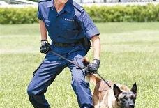 警犬巴打手机在线观看,忠诚守护，手机在线见证