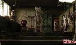 犬之岛在线观看,动画冒险之旅，在线观看带你领略温馨奇幻世界