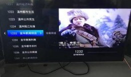 地方台直播在线观看,随时随地尽享地方特色视听盛宴