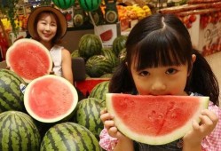 外国免费吃瓜网站,免费吃瓜网站带你领略世界百态