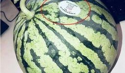 网红吃瓜骗局,揭秘网络红人背后的真相