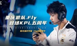 fly爆料视频,带你一探究竟