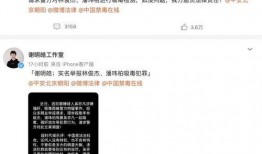 娱乐圈网友爆料法律,揭秘网络舆论与法律边界