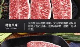 原切牛排爆料视频播放下载,视频播放下载背后的秘密解析