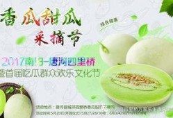 网红吃瓜和大咖,揭秘娱乐圈幕后真相