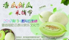 网红吃瓜和大咖,揭秘娱乐圈幕后真相