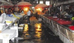 鱼贩子爆料视频,揭秘水产市场惊人内幕