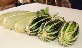 网爆网红吃瓜图片大全,盘点那些爆笑的瓜界风云