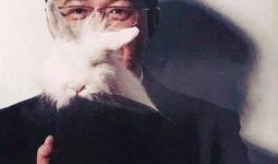 董洁卓伟爆料视频大全集,揭秘娱乐圈风云变幻