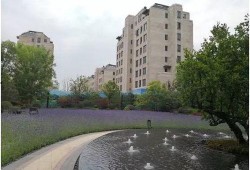 大华公园最新爆料