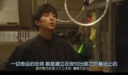 海归兄弟爆料事件视频在线观看,揭秘留学生活背后的真相