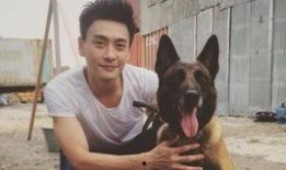 警犬巴打手机在线观看,忠诚守护，手机在线见证