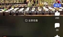 寻找爆料视频在线观看,在线观看一网打尽