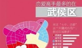 四川今日关注爆料,揭秘最新爆料背后的真相