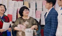 爱情公寓大力最新爆料,最新爆料揭秘剧情走向与角色命运