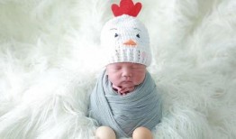 成都新生儿爆料最新消息,最新爆料揭示真相