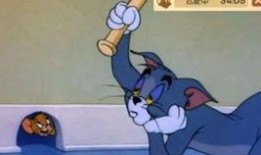 猫和老鼠侍卫爆料视频,揭秘幕后真相与精彩瞬间