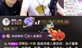 利哥爆料电商视频,电商视频背后的秘密与真相